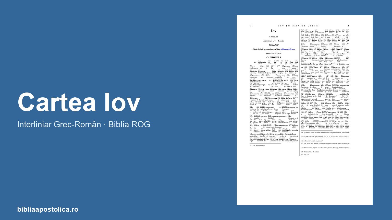 Previzualizare Iov PDF
