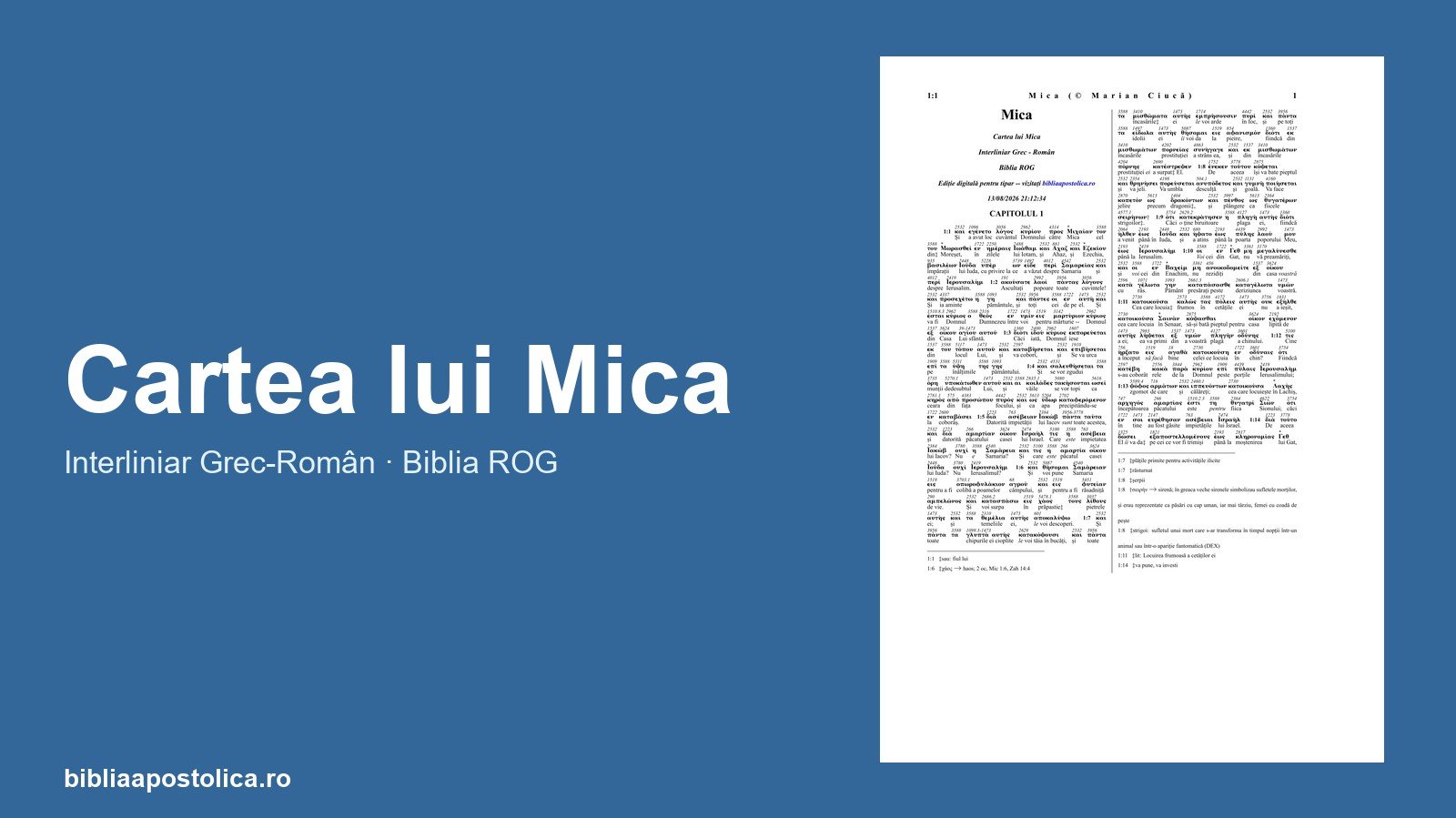 Previzualizare Mica PDF